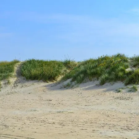 Kerlin - 500m From The Sea In Western Jutland By Interhome Apartment